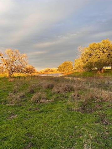 957 Johnson Farms Road Harwood TX 78632
