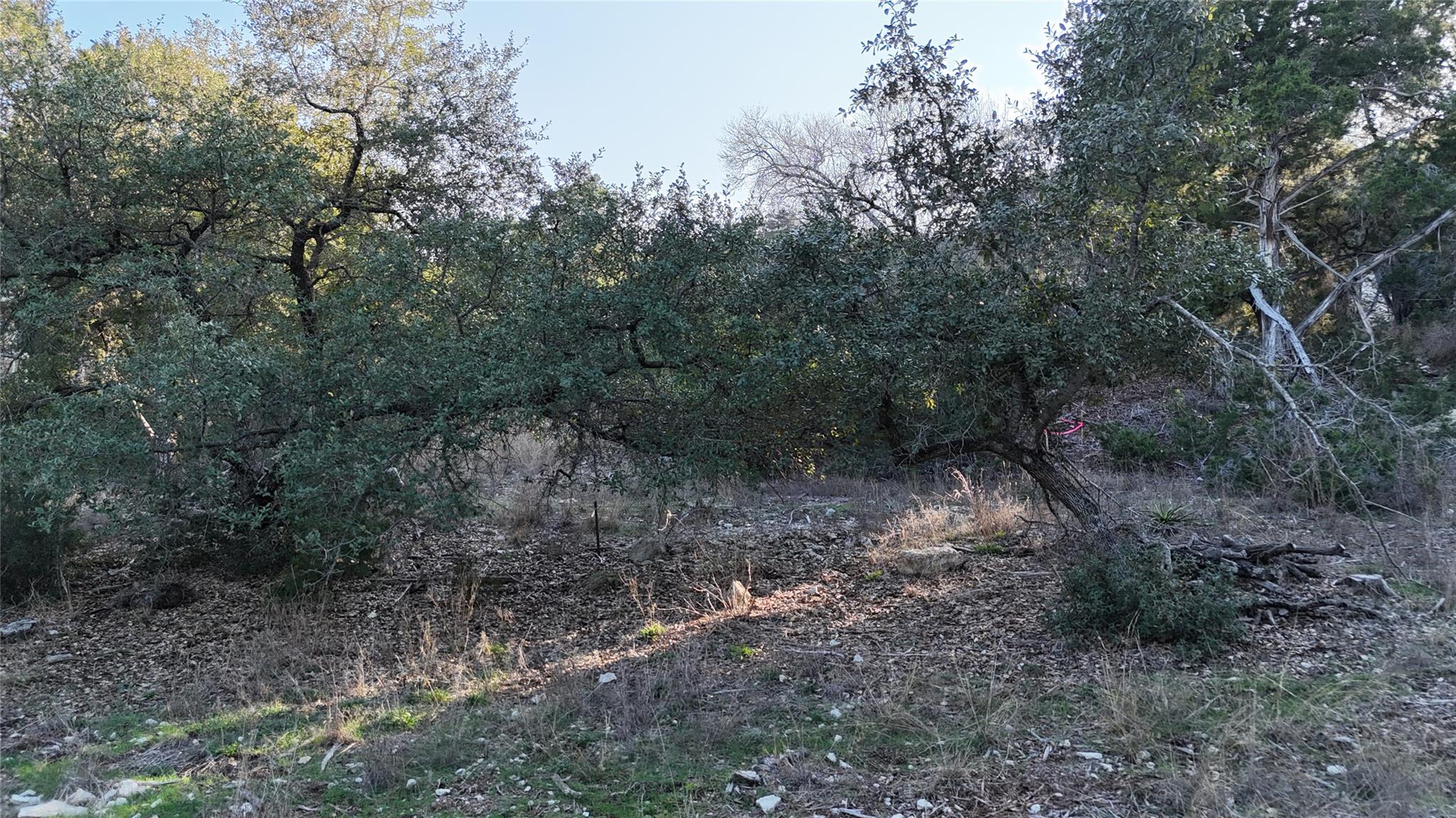 20823 Colorado Drive W Spicewood TX 78669
