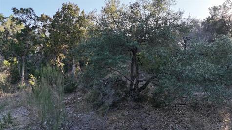 20823 Colorado Drive W Spicewood TX 78669