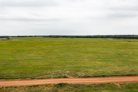 Tbd Sh 21 Highway Paige TX 78659