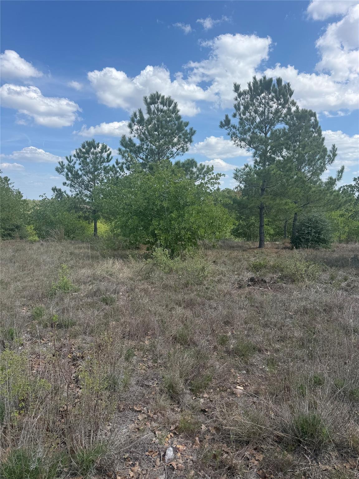 Tbd Lakewood Drive Bastrop TX 78602