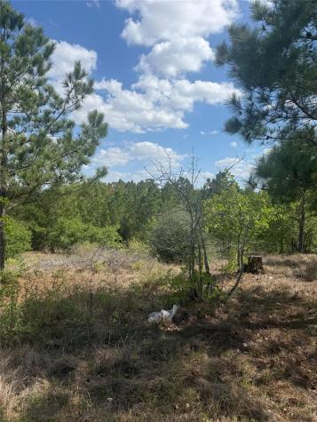 Tbd Lakewood Drive Bastrop TX 78602