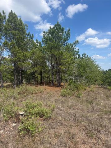 Tbd Lakewood Drive Bastrop TX 78602