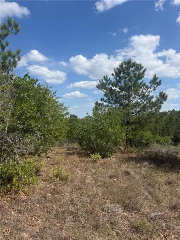 Tbd Lakewood Drive Bastrop TX 78602