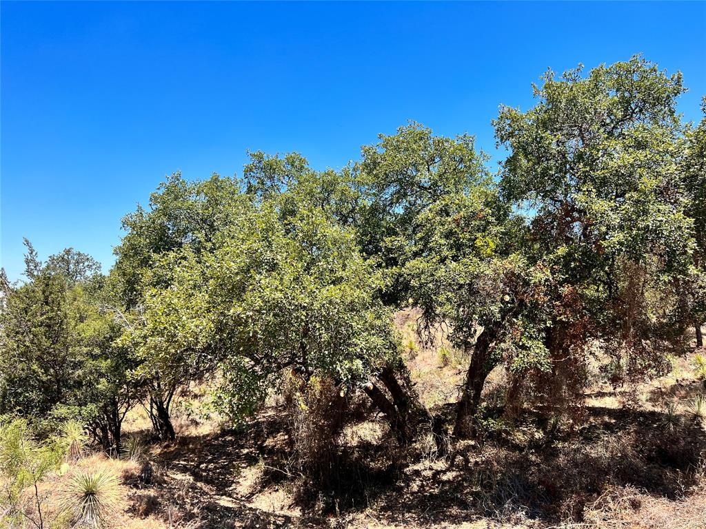 Granite Shoals TX, 320 Tbd W. Castlebriar Drive