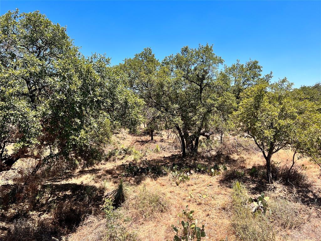 Lots 320-323 Tbd W. Castlebriar Drive Granite Shoals TX 78654