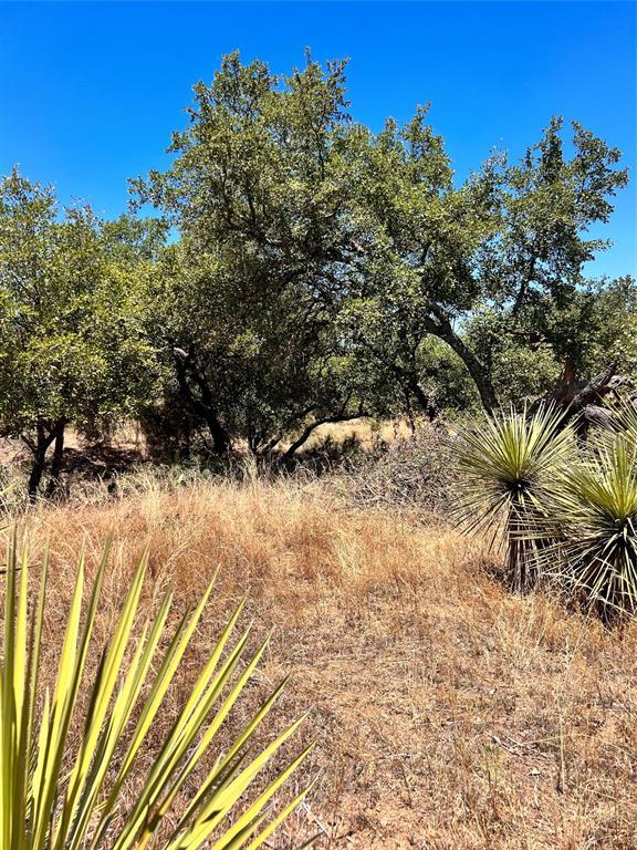 Lots 320-323 Tbd W. Castlebriar Drive Granite Shoals TX 78654