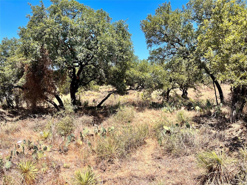 Lots 320-323 Tbd W. Castlebriar Drive Granite Shoals TX 78654