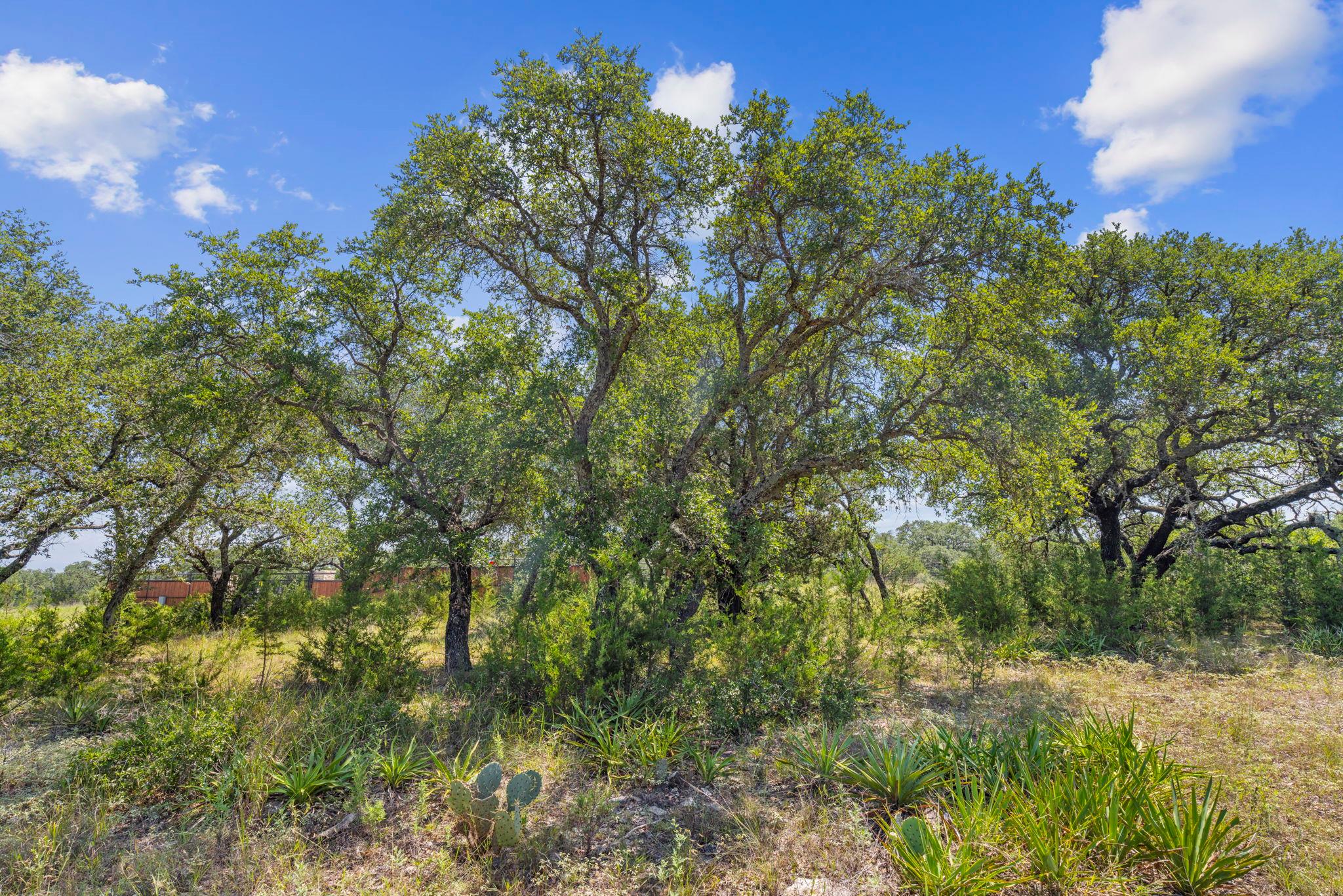 Lot 170 Heartleaf Drive Lampasas TX 76550