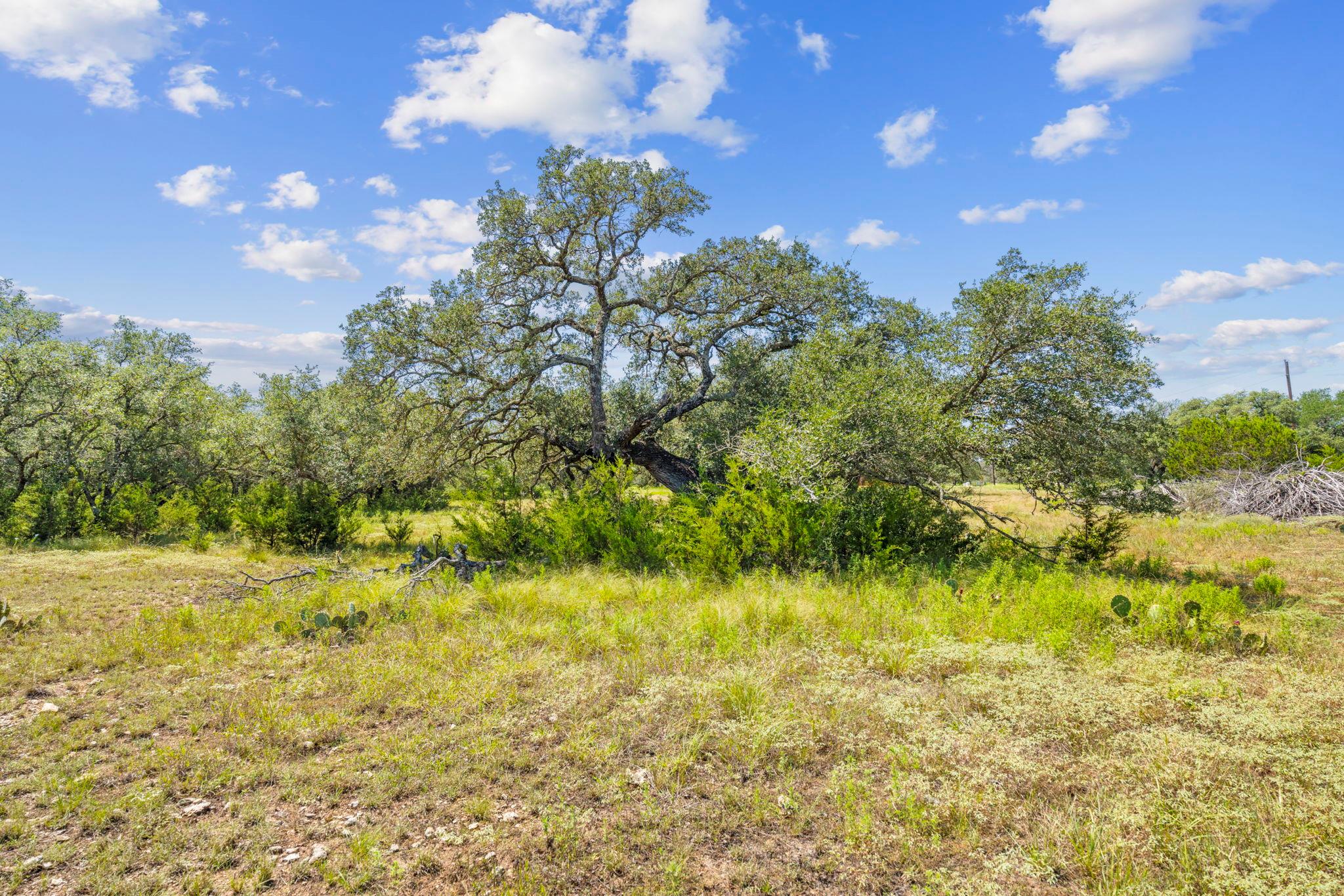 Lot 170 Heartleaf Drive Lampasas TX 76550