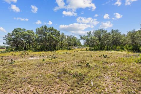 Lot 170 Heartleaf Drive Lampasas TX 76550