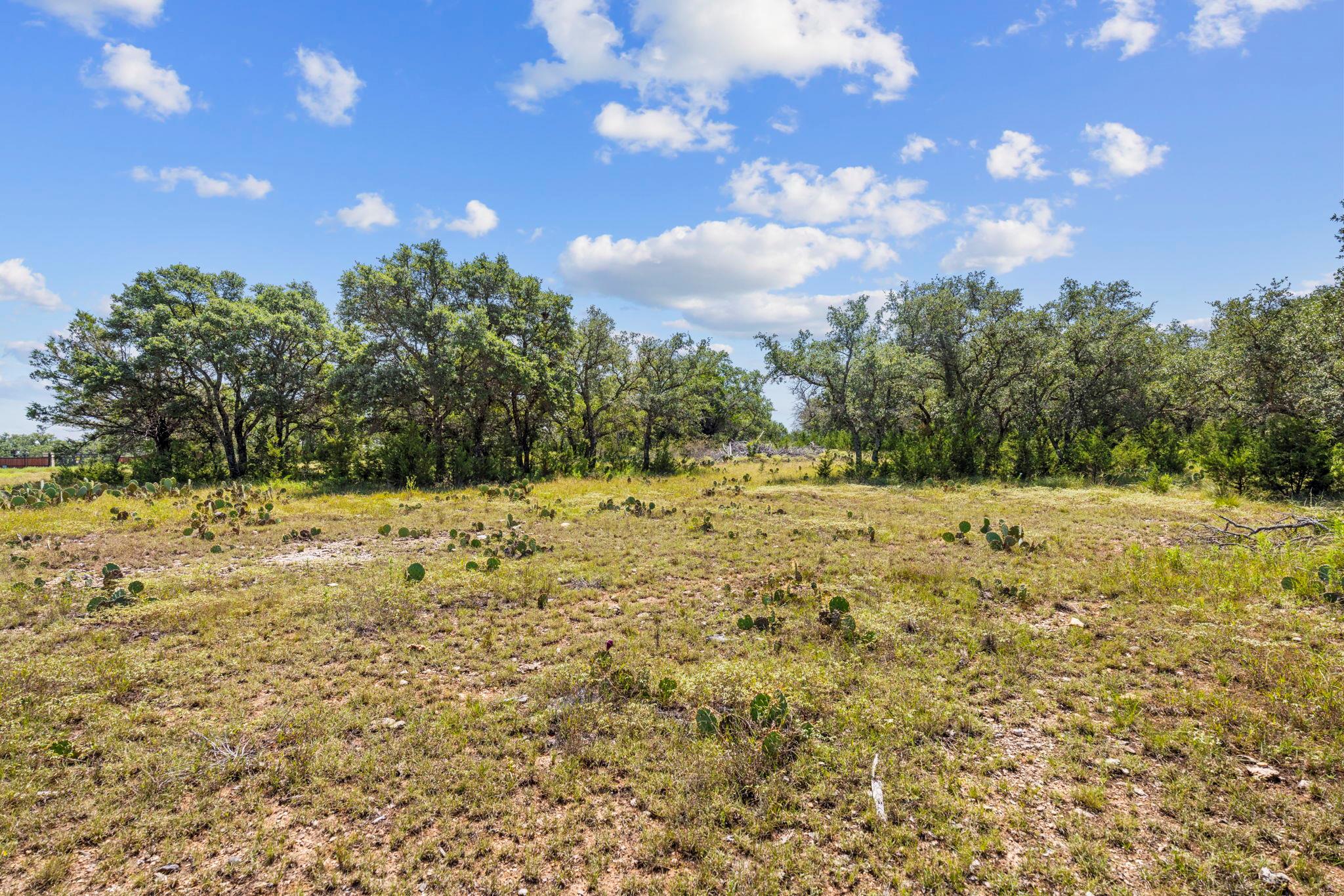 Lot 170 Heartleaf Drive Lampasas TX 76550