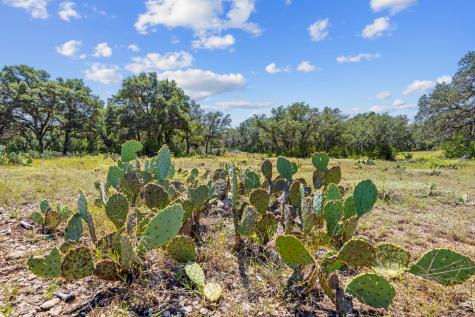 Lot 170 Heartleaf Drive Lampasas TX 76550