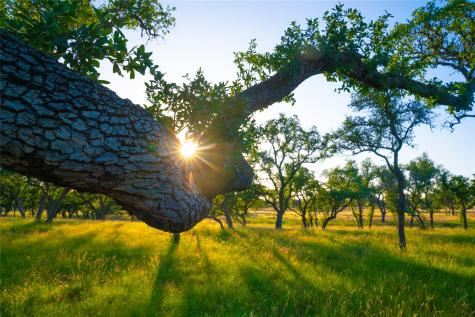 0 Bountiful Oaks Ranch Johnson City TX 78636