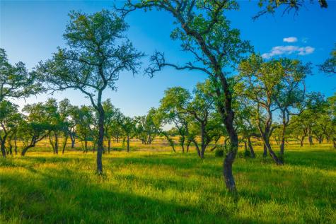 0 Bountiful Oaks Ranch Johnson City TX 78636