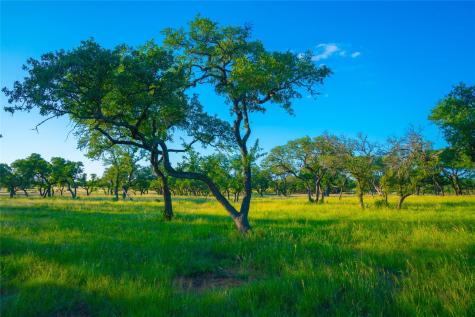 0 Bountiful Oaks Ranch Johnson City TX 78636