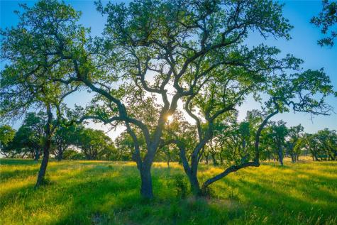 0 Bountiful Oaks Ranch Johnson City TX 78636