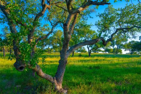 0 Bountiful Oaks Ranch Johnson City TX 78636