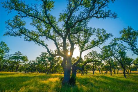 0 Bountiful Oaks Ranch Johnson City TX 78636