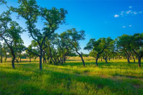 0 Bountiful Oaks Ranch Johnson City TX 78636