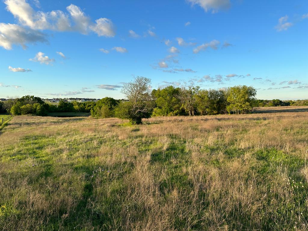 Tbd Lot 2 Fm 1105 Georgetown TX 78626
