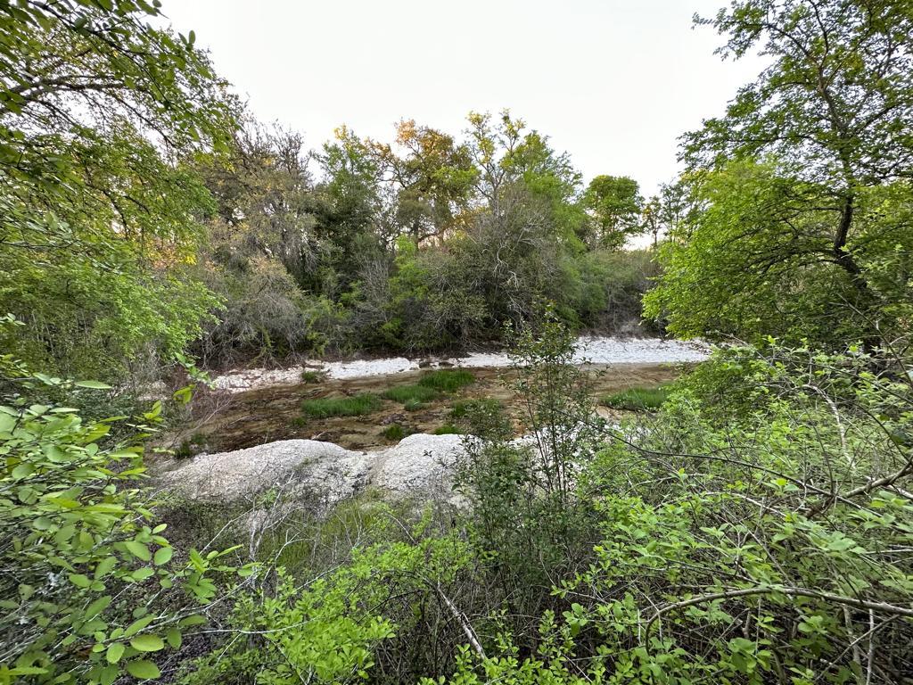 Tbd Lot 2 Fm 1105 Georgetown TX 78626