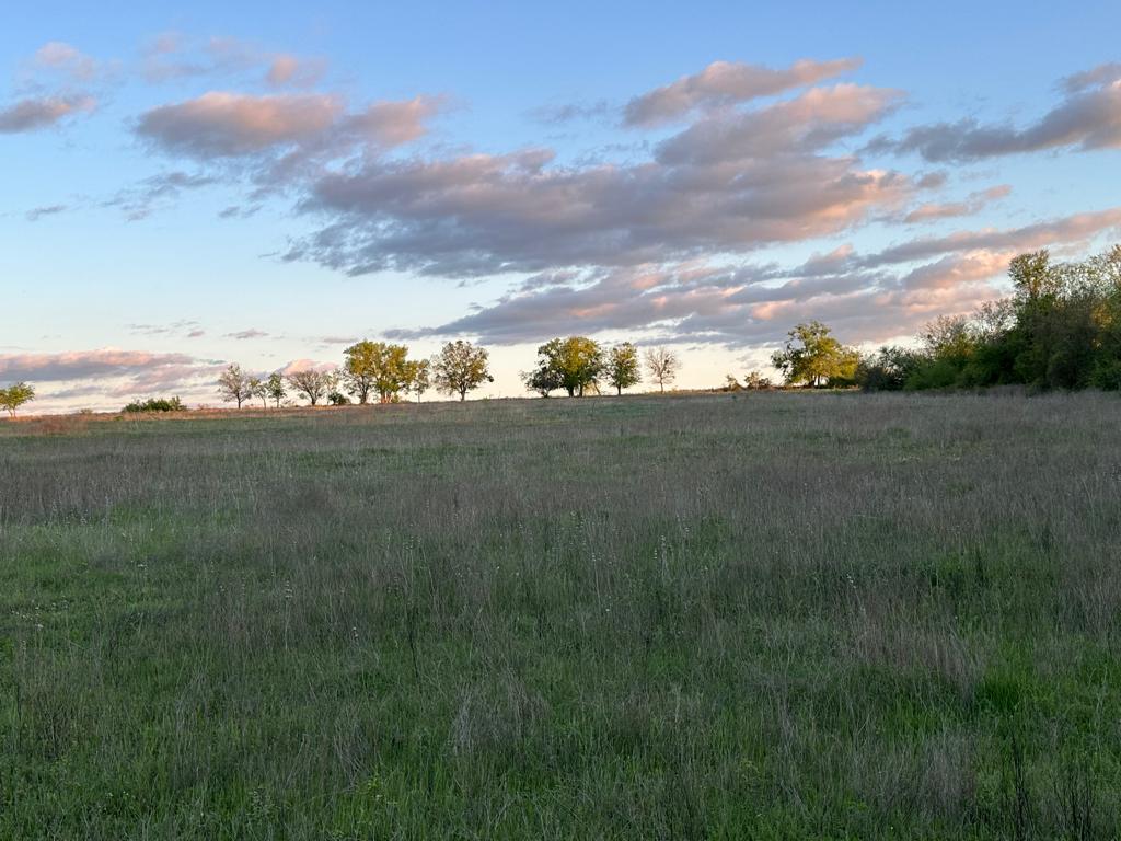 Tbd Lot 2 Fm 1105 Georgetown TX 78626