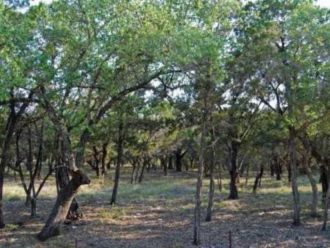 6805 Sunset Ridge Way Jonestown TX 78645