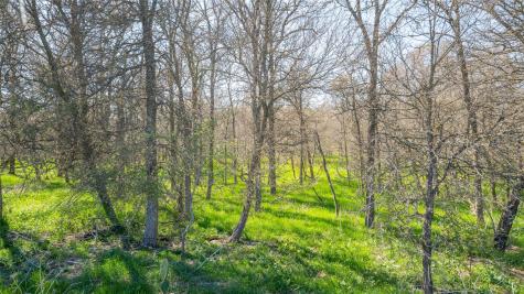 2396 County Road 112 Buckholts TX 76518