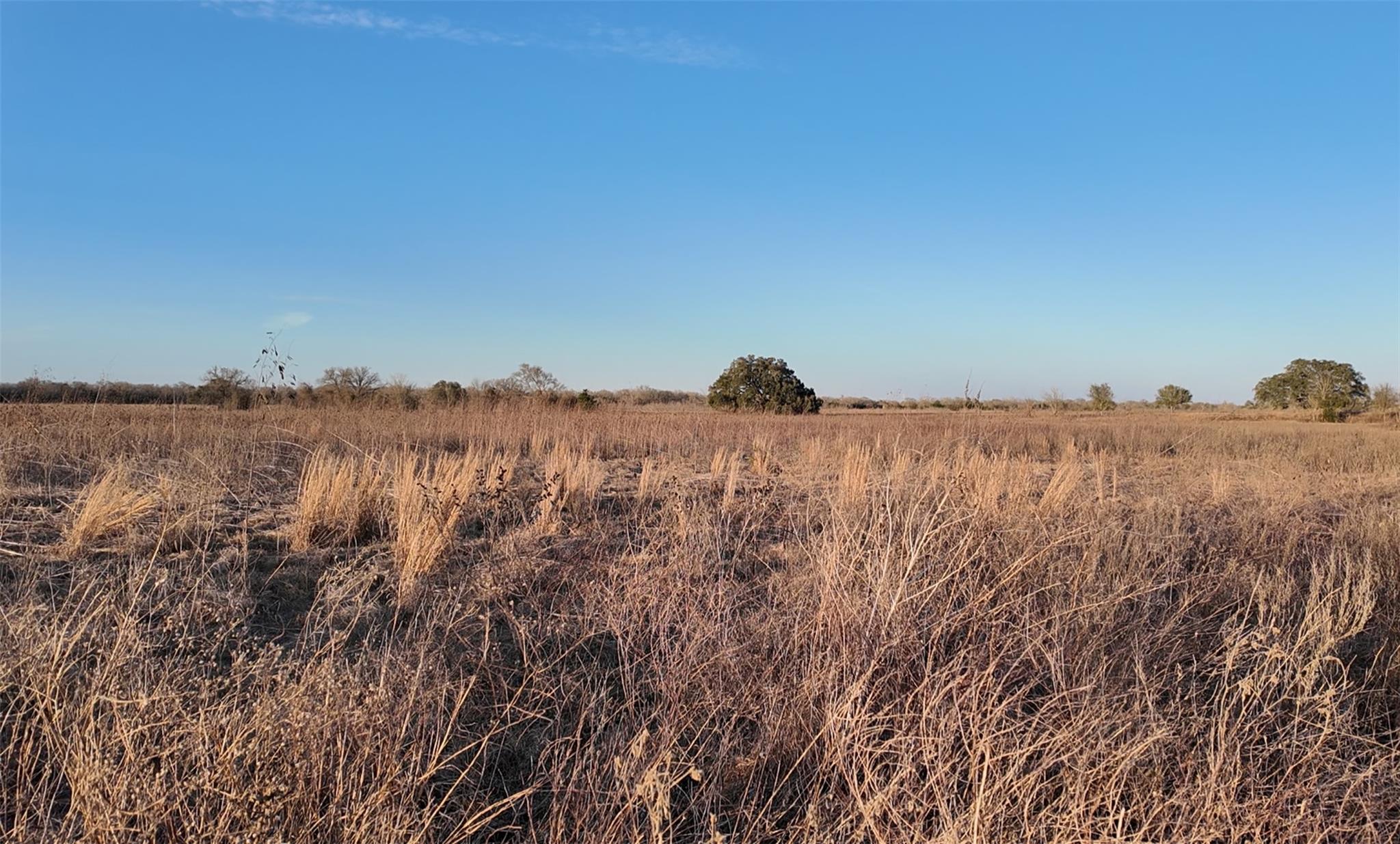 Tbd (Tract 5) Cr 119 Ledbetter TX 78946