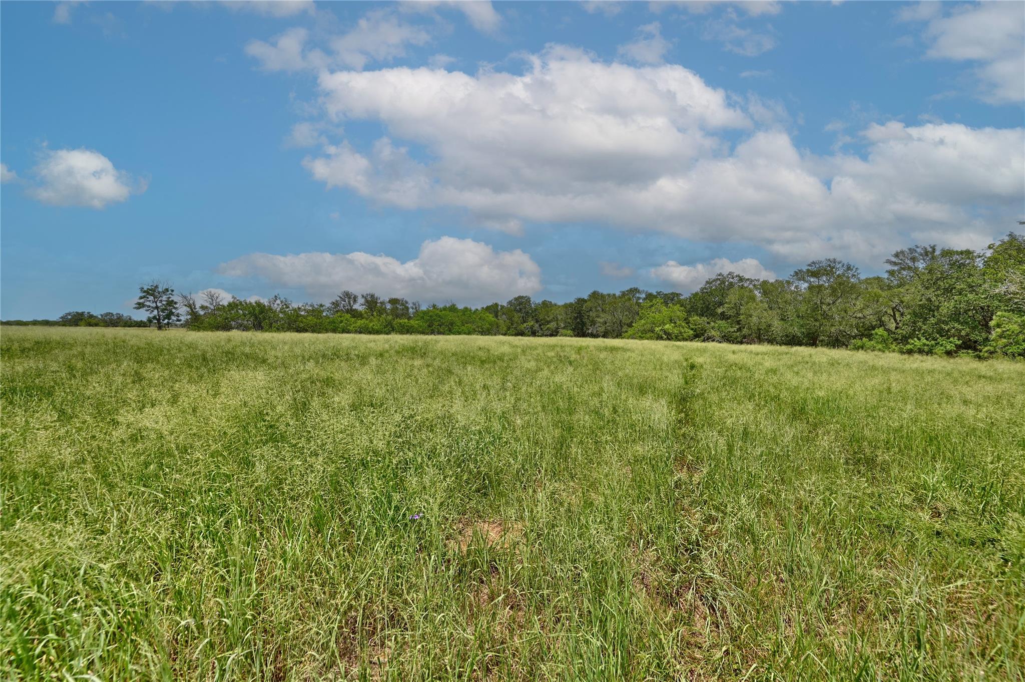 166 Sunny Day Drive Red Rock TX 78662