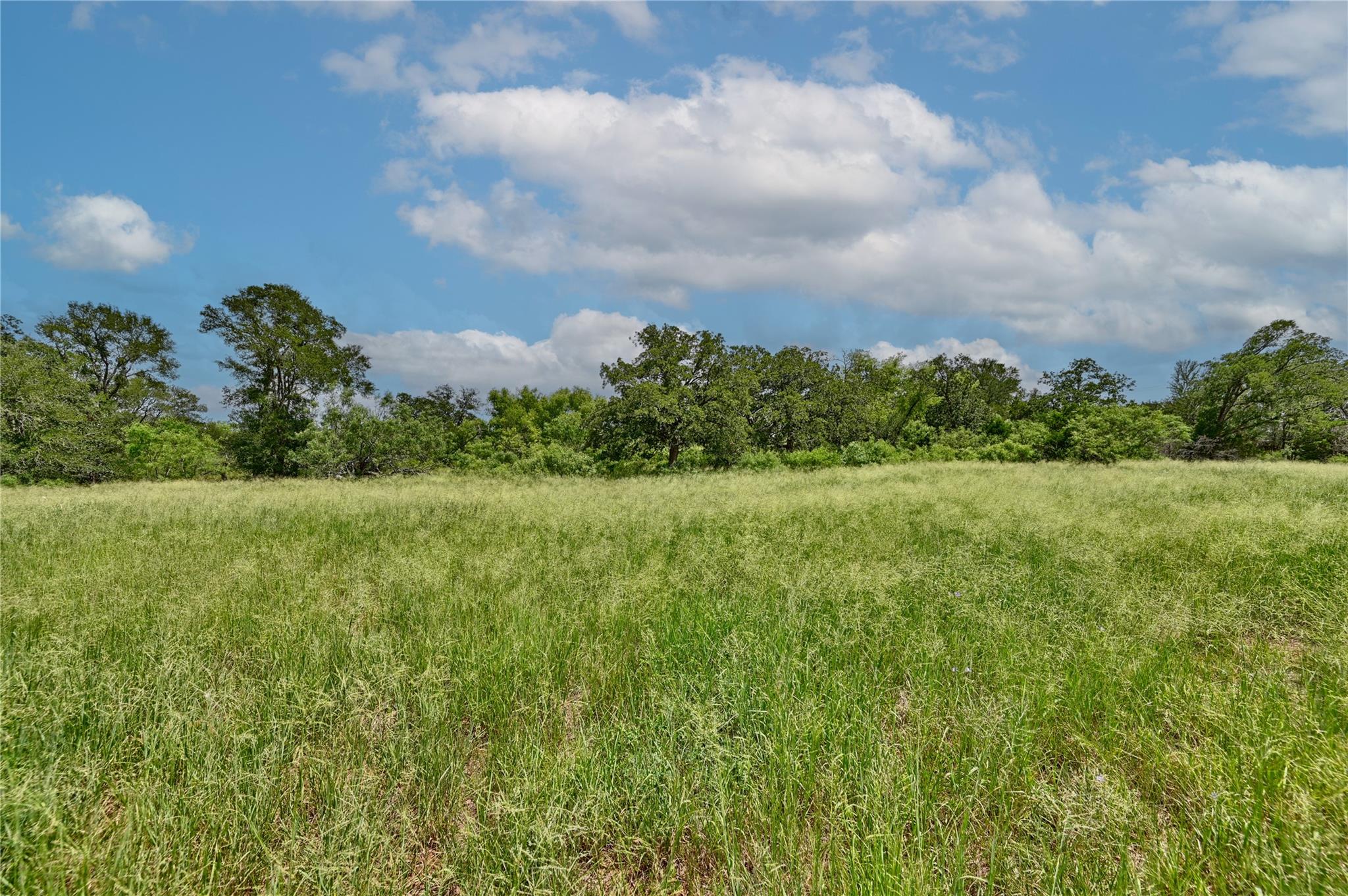 166 Sunny Day Drive Red Rock TX 78662