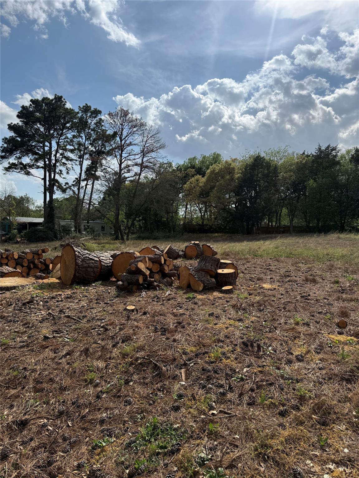 Lot 142 Pine Song Bastrop TX 78602