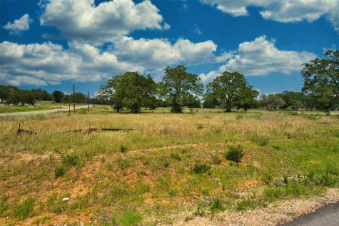 1067 Ferguson Loop Dale TX 78616