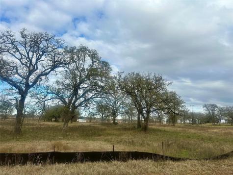 1067 Ferguson Loop Dale TX 78616
