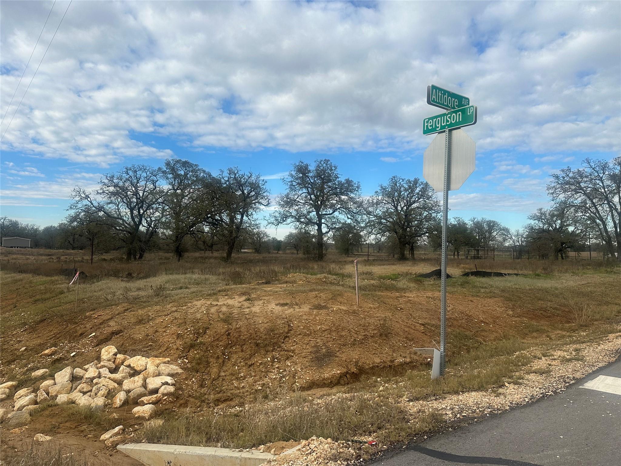 1067 Ferguson Loop Dale TX 78616