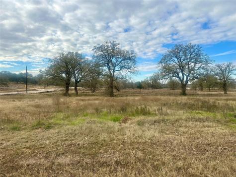 1067 Ferguson Loop Dale TX 78616