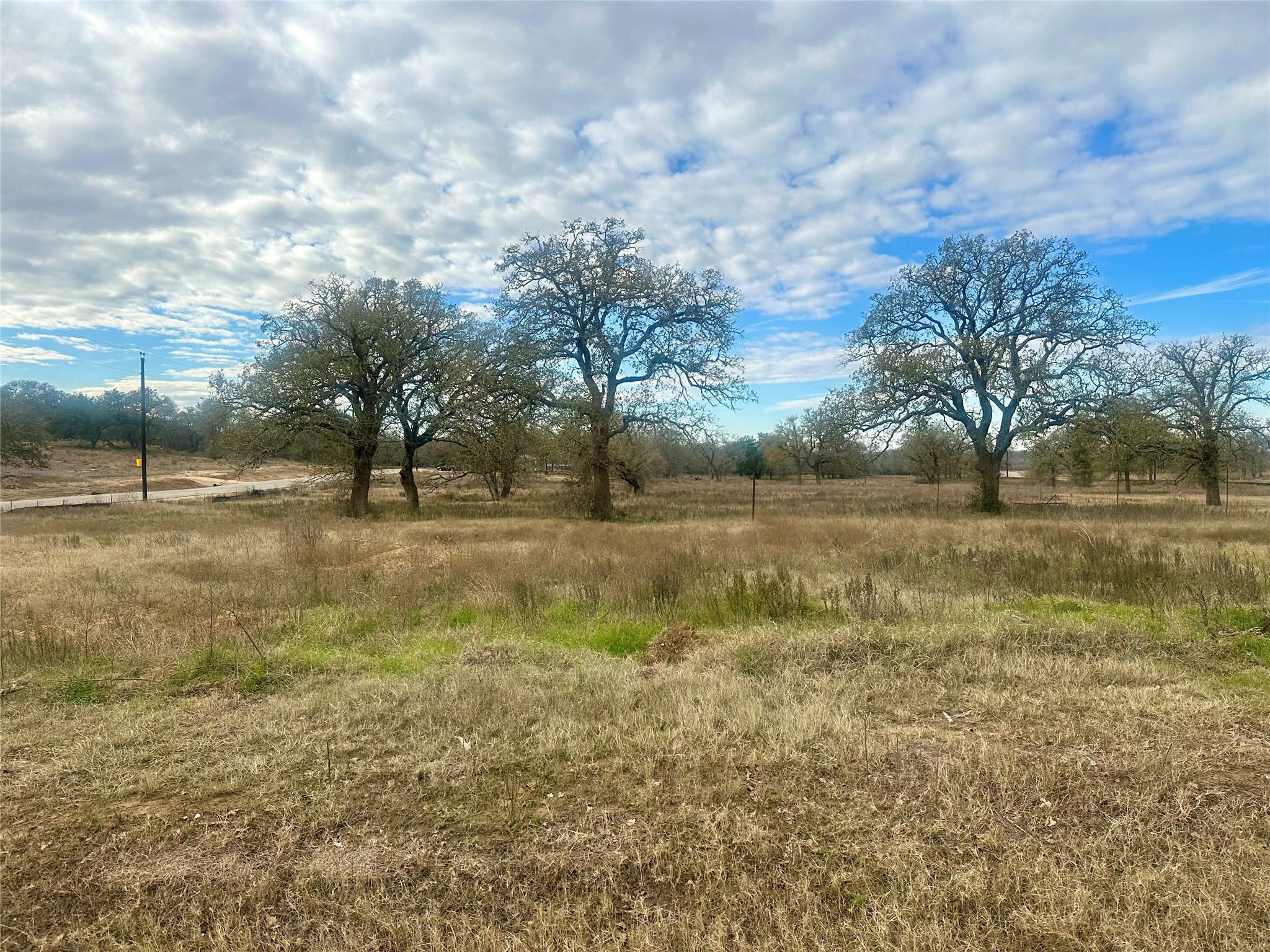 1067 Ferguson Loop Dale TX 78616