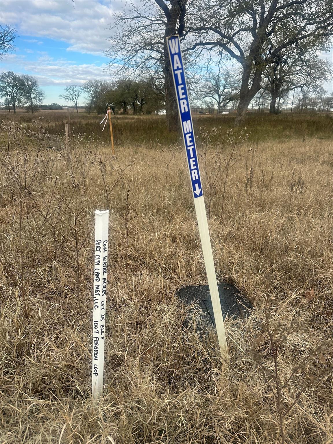1067 Ferguson Loop Dale TX 78616