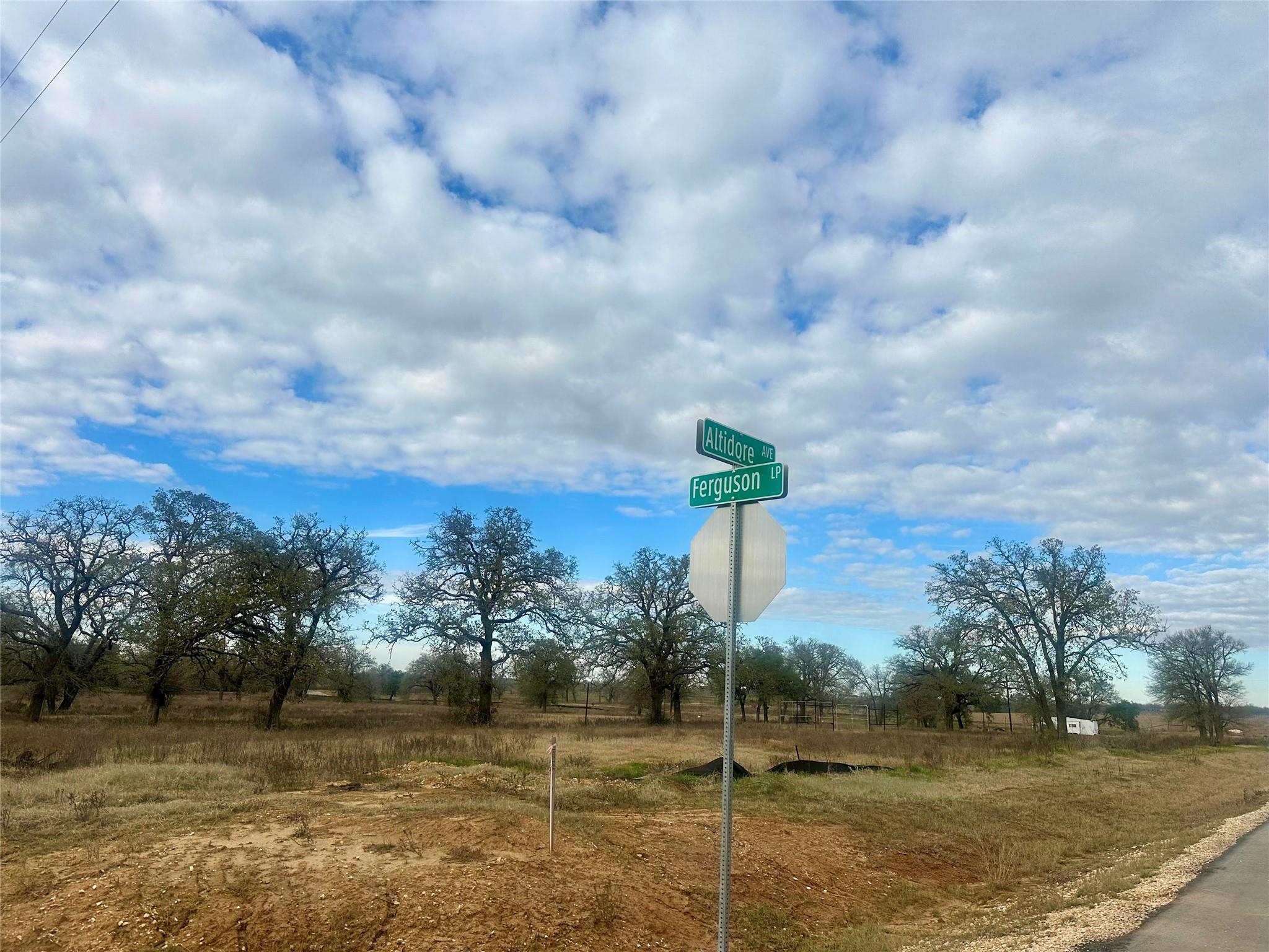 1067 Ferguson Loop Dale TX 78616