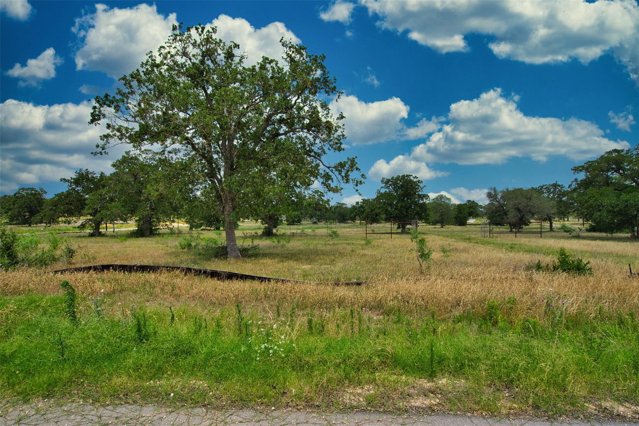 1067 Ferguson Loop Dale TX 78616