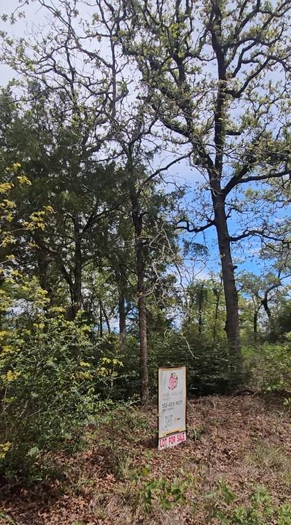 Tbd Co Road 308 Road Caldwell TX 77836