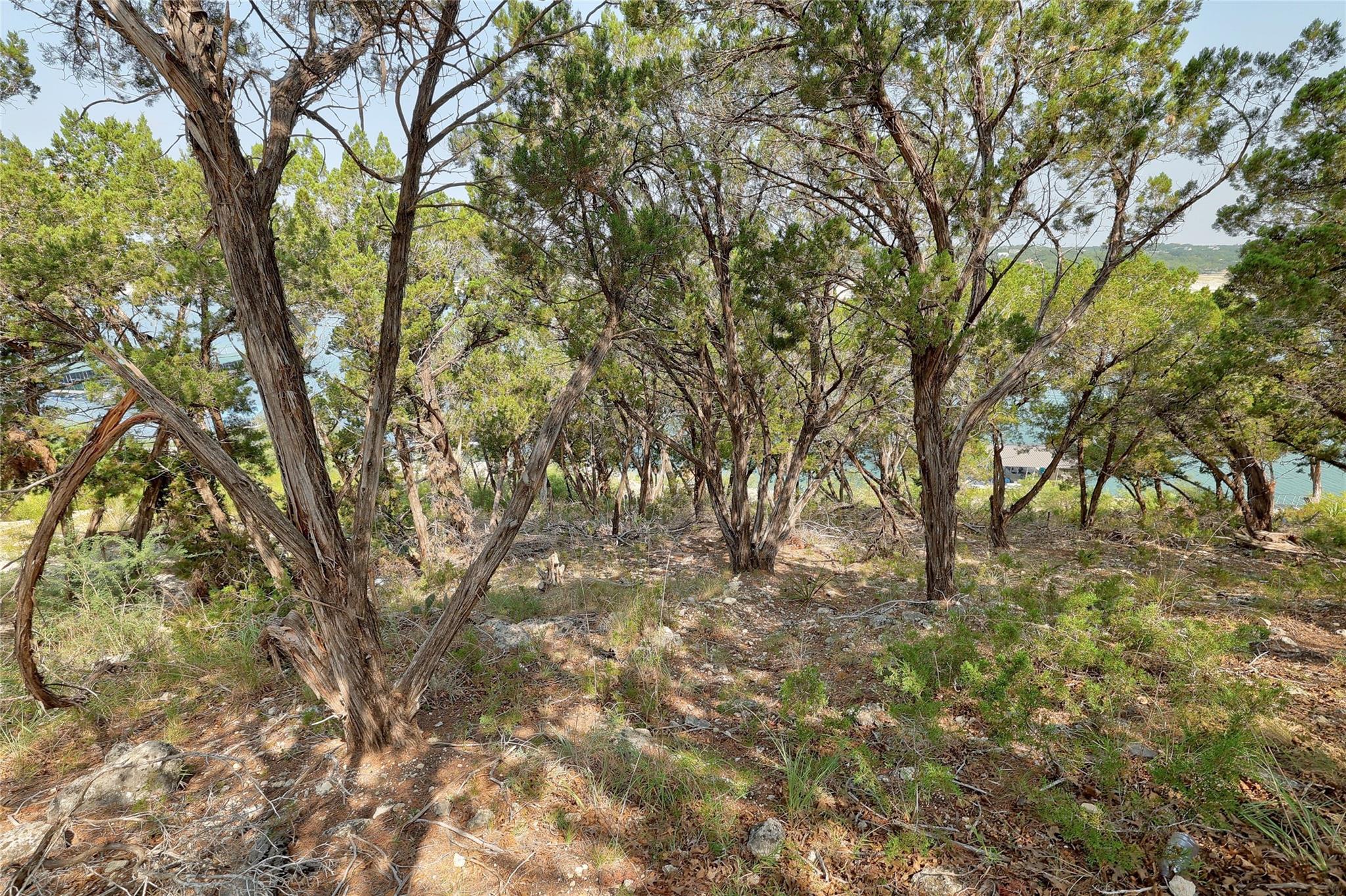 19016 Silver Maple Drive Lago Vista TX 78645