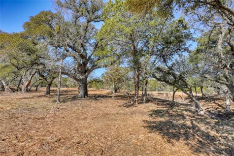 Lot 21 Burnet Oaks Drive Burnet TX 78611