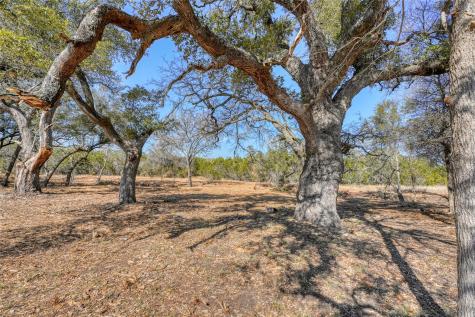 Lot 21 Burnet Oaks Drive Burnet TX 78611