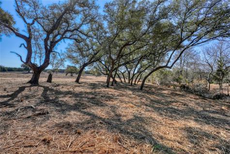 Lot 21 Burnet Oaks Drive Burnet TX 78611
