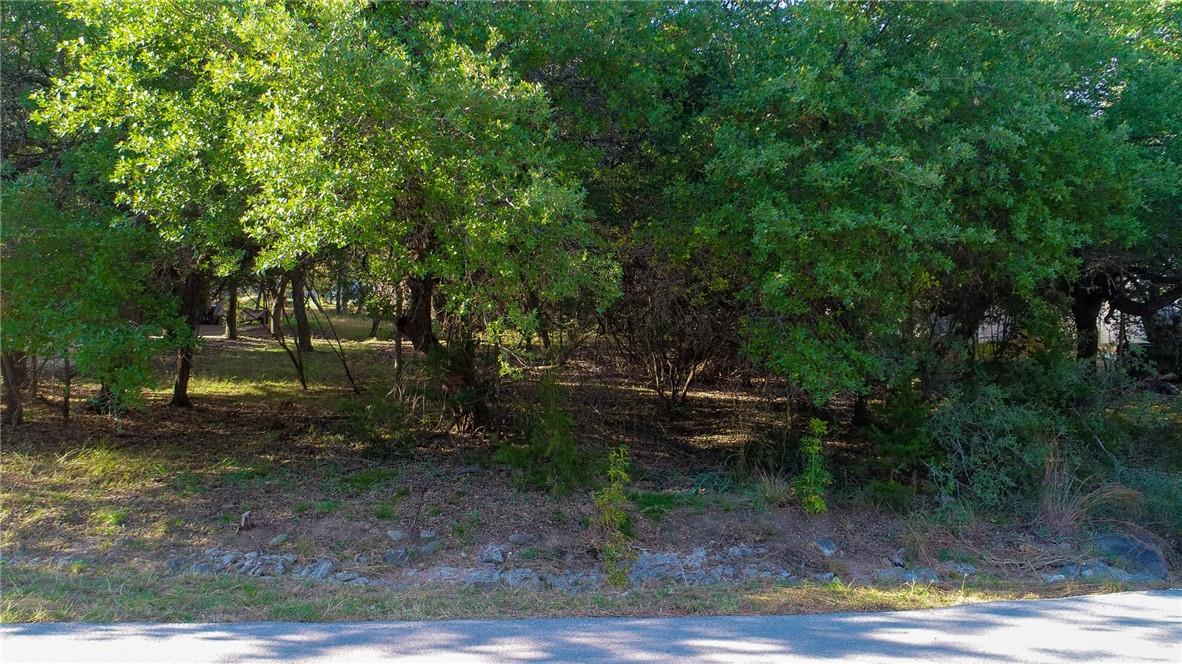 306 Cargill Drive Spicewood TX 78669