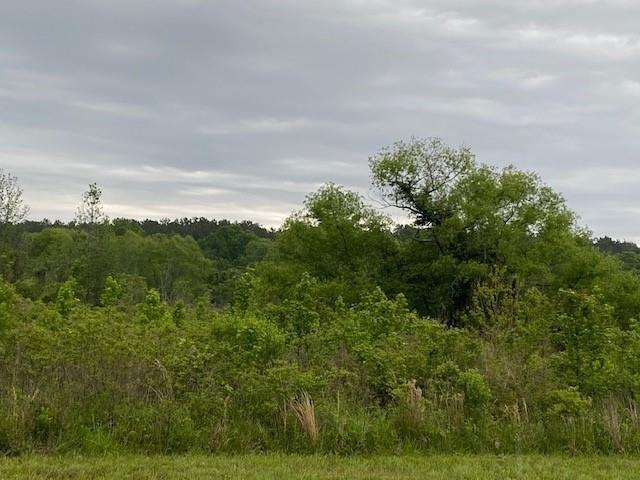 Tbd Highway 31 Chandler TX 75758