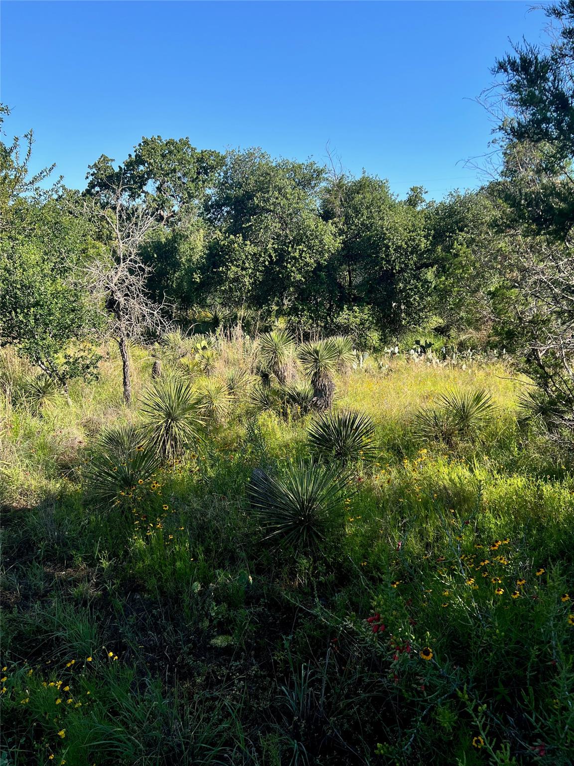 Tbd Castlelake Drive Granite Shoals TX 78654