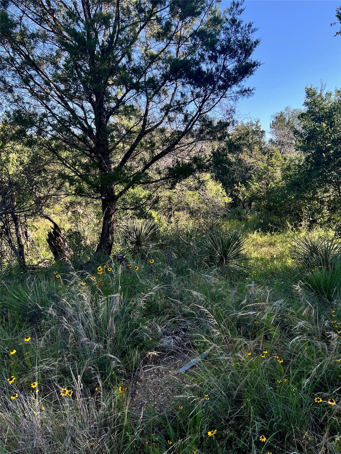 Tbd Castlelake Drive Granite Shoals TX 78654